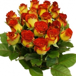 Žlutooranžové růže